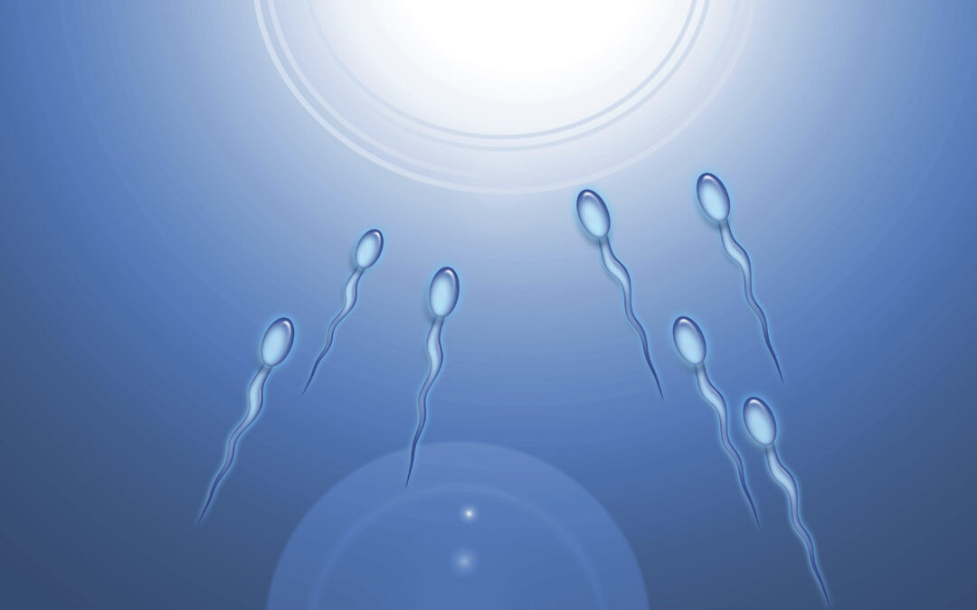 A Guide to Intrauterine Insemination (IUI)